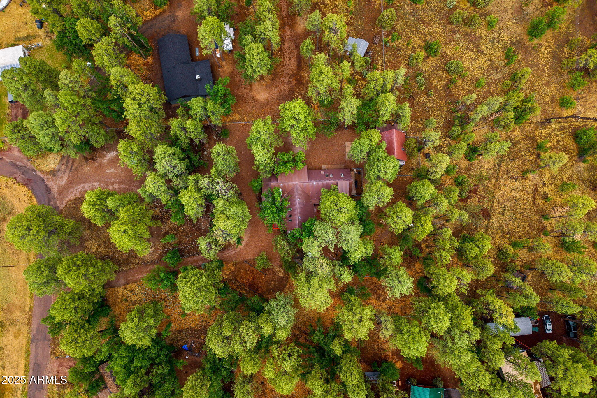 Seneca Pines - Residential