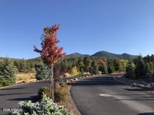 1021 STONE HOLLOW Loop 2