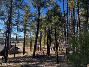 1021 STONE HOLLOW Loop 2