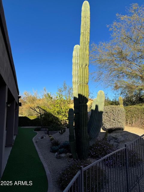 A home in Scottsdale