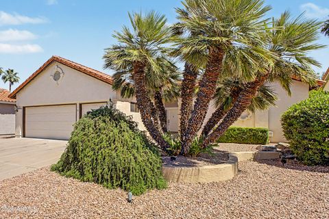 25241 S HOLLYGREEN Drive Sun Lakes AZ 85248