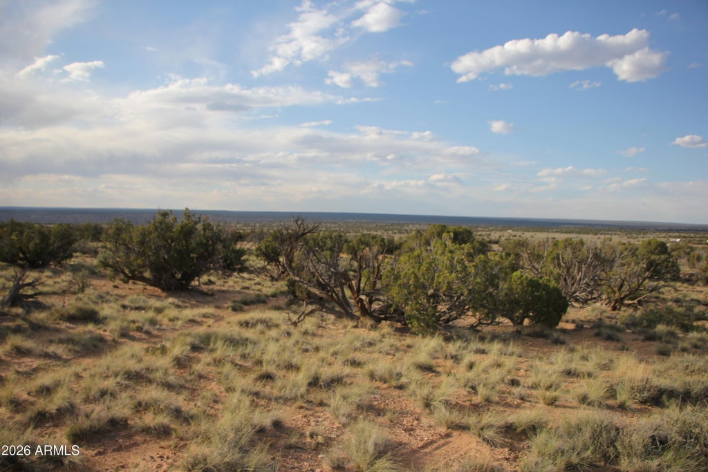 Photo of 6711 N N6711 Road #64, Apache Junction, AZ (MLS # 7041881)