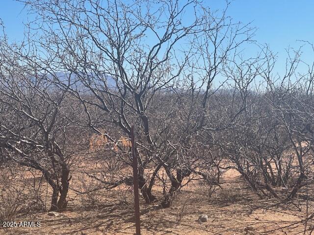 TBD 6 Ac's on HWY 90 -- 4