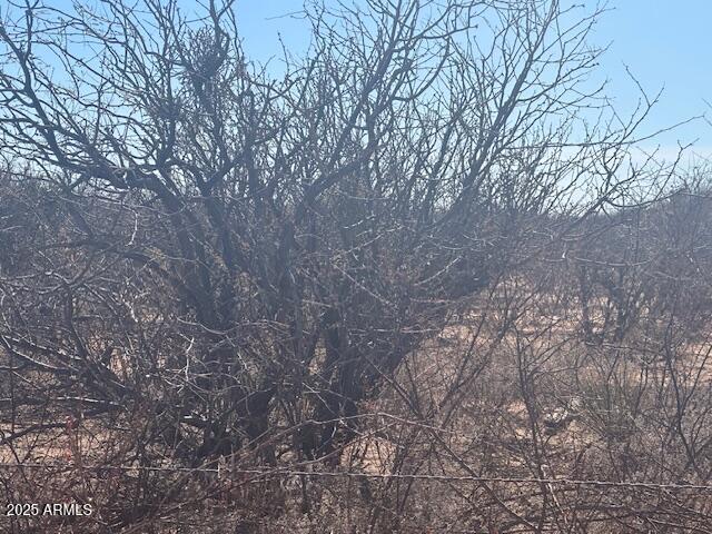 TBD 6 Ac's on HWY 90 -- 4