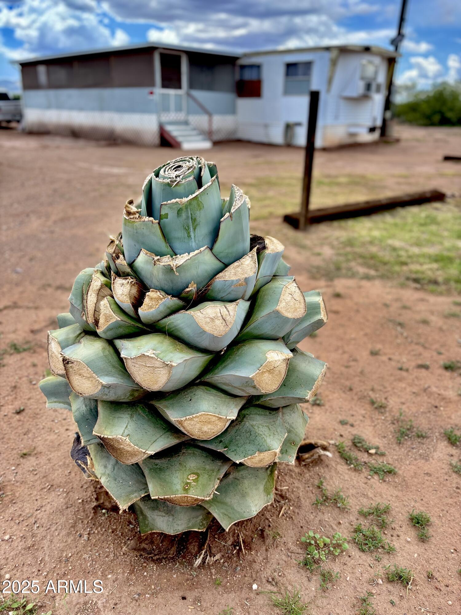 6910 N BLACKBERRY Place