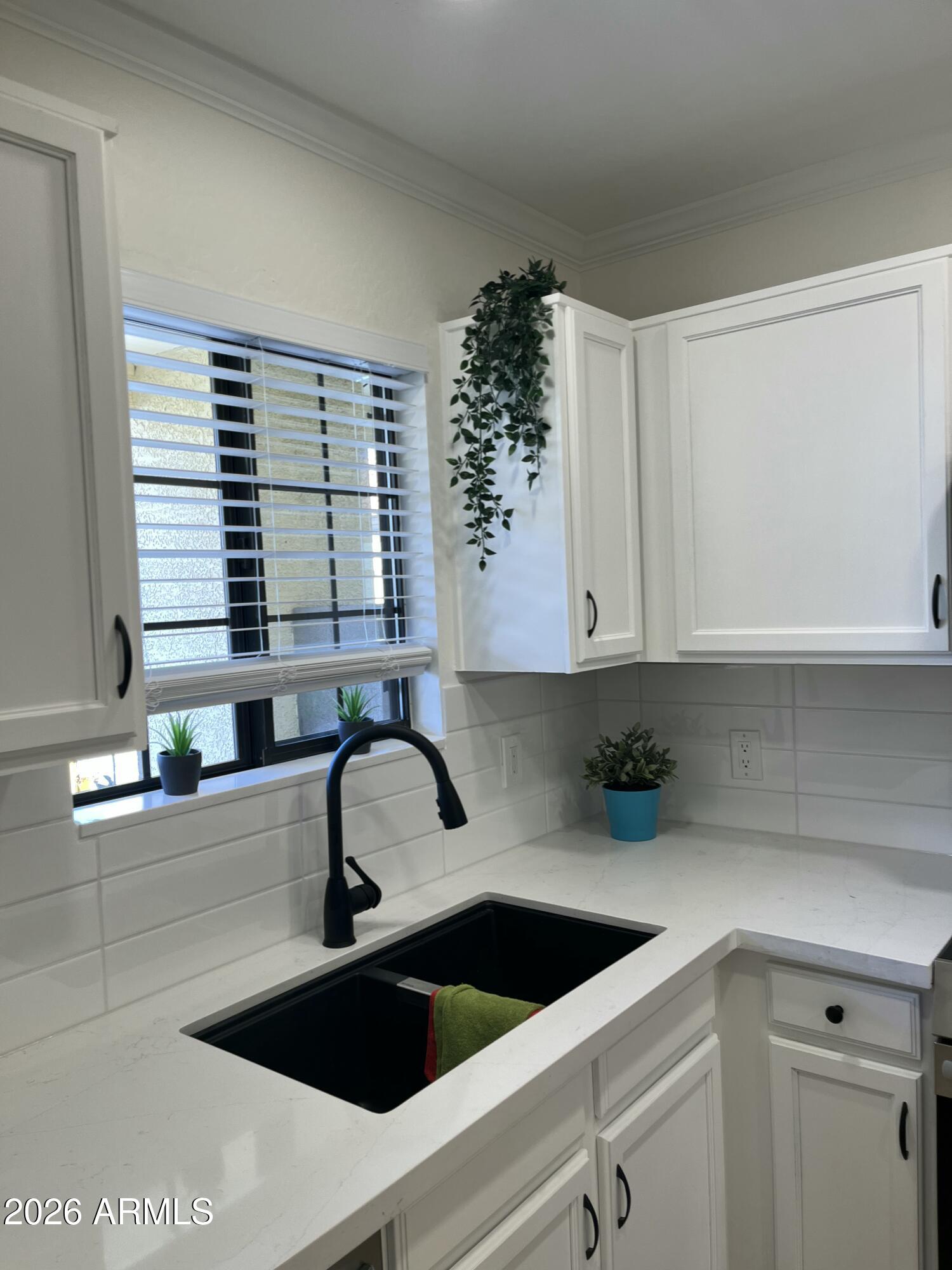 455 S Mesa Drive 146