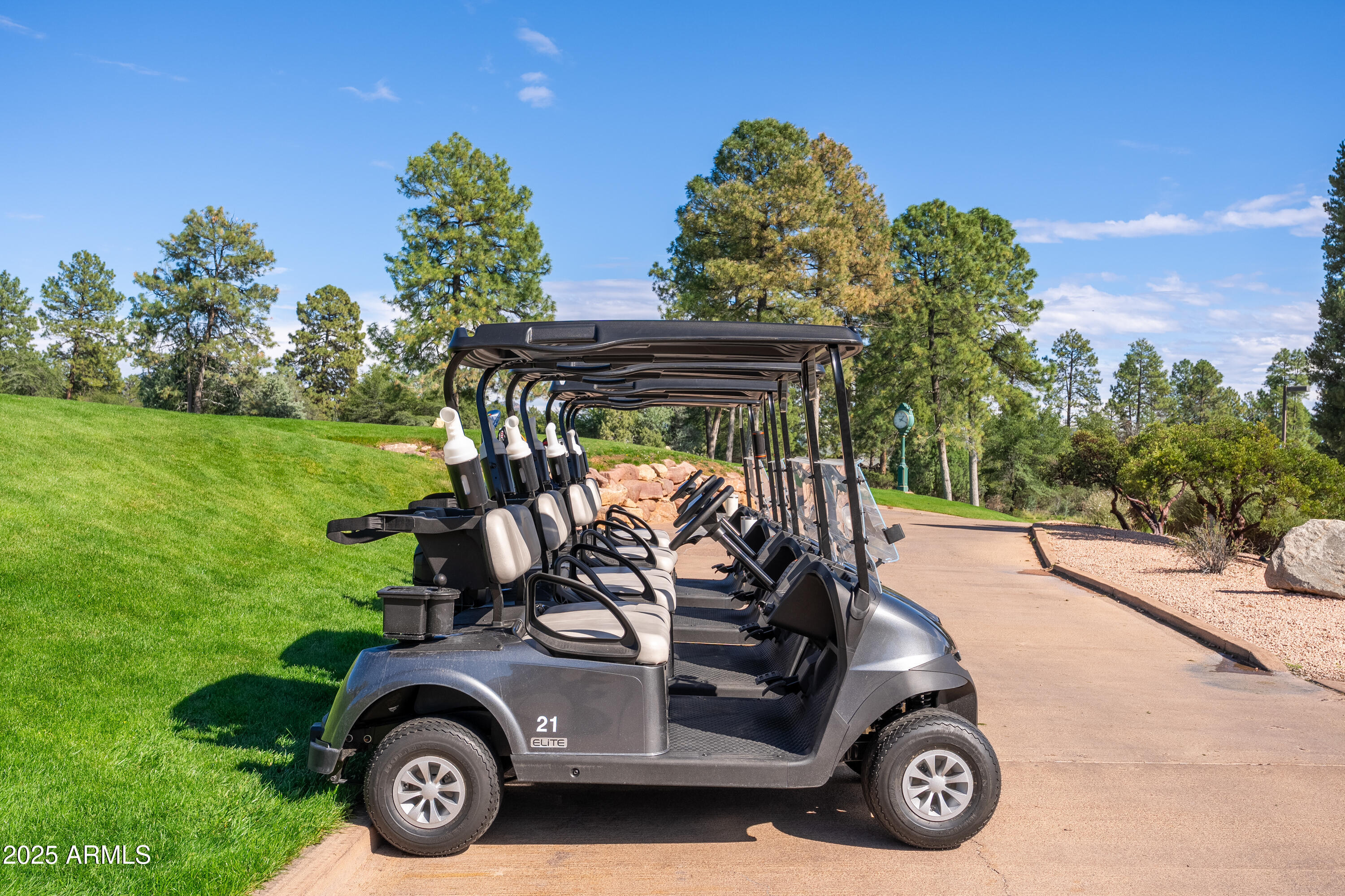 Chaparral Pines - Residential