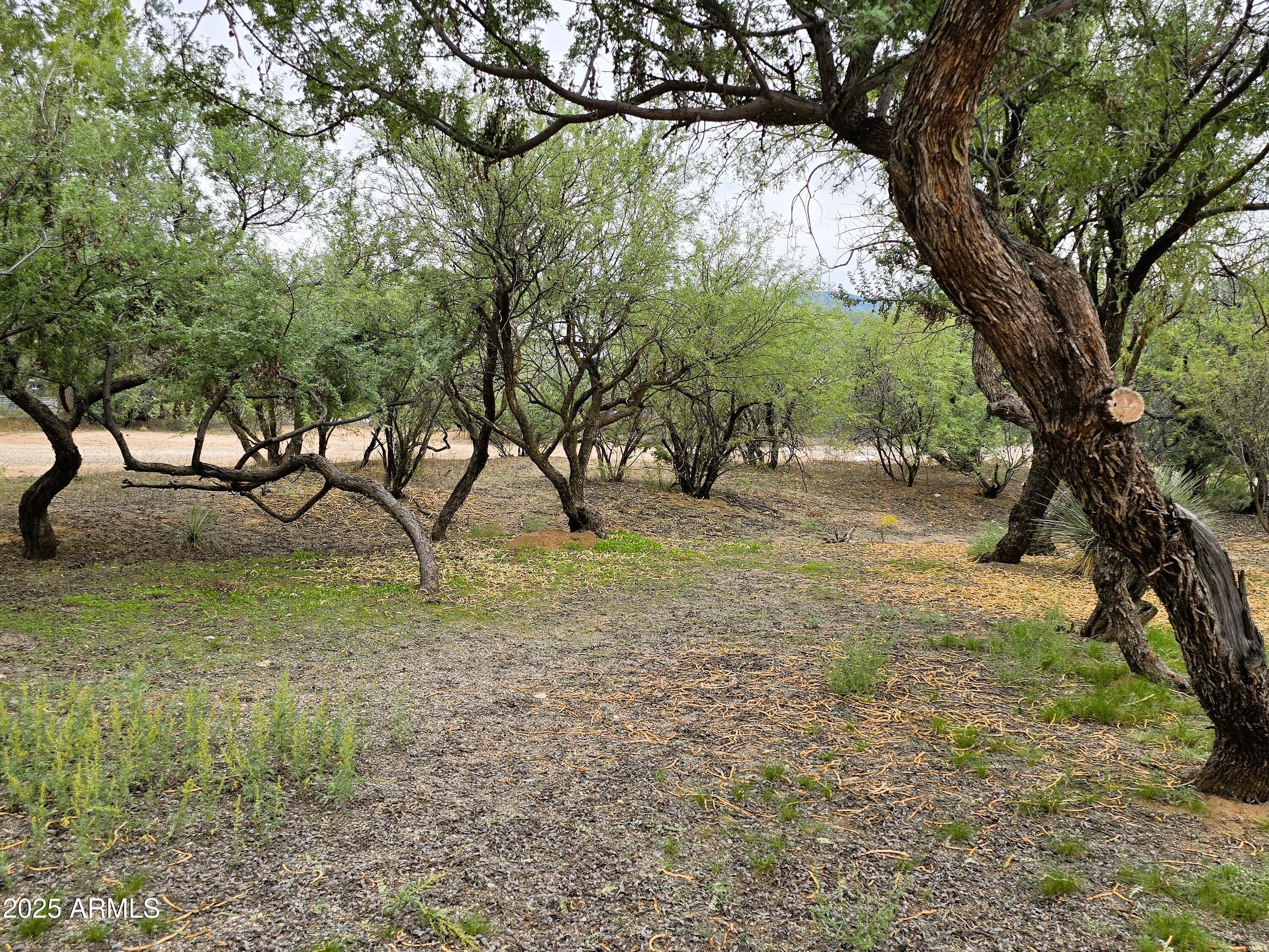 1642 E RIVER BEND Road