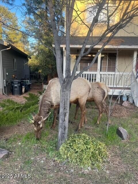 A home in Payson