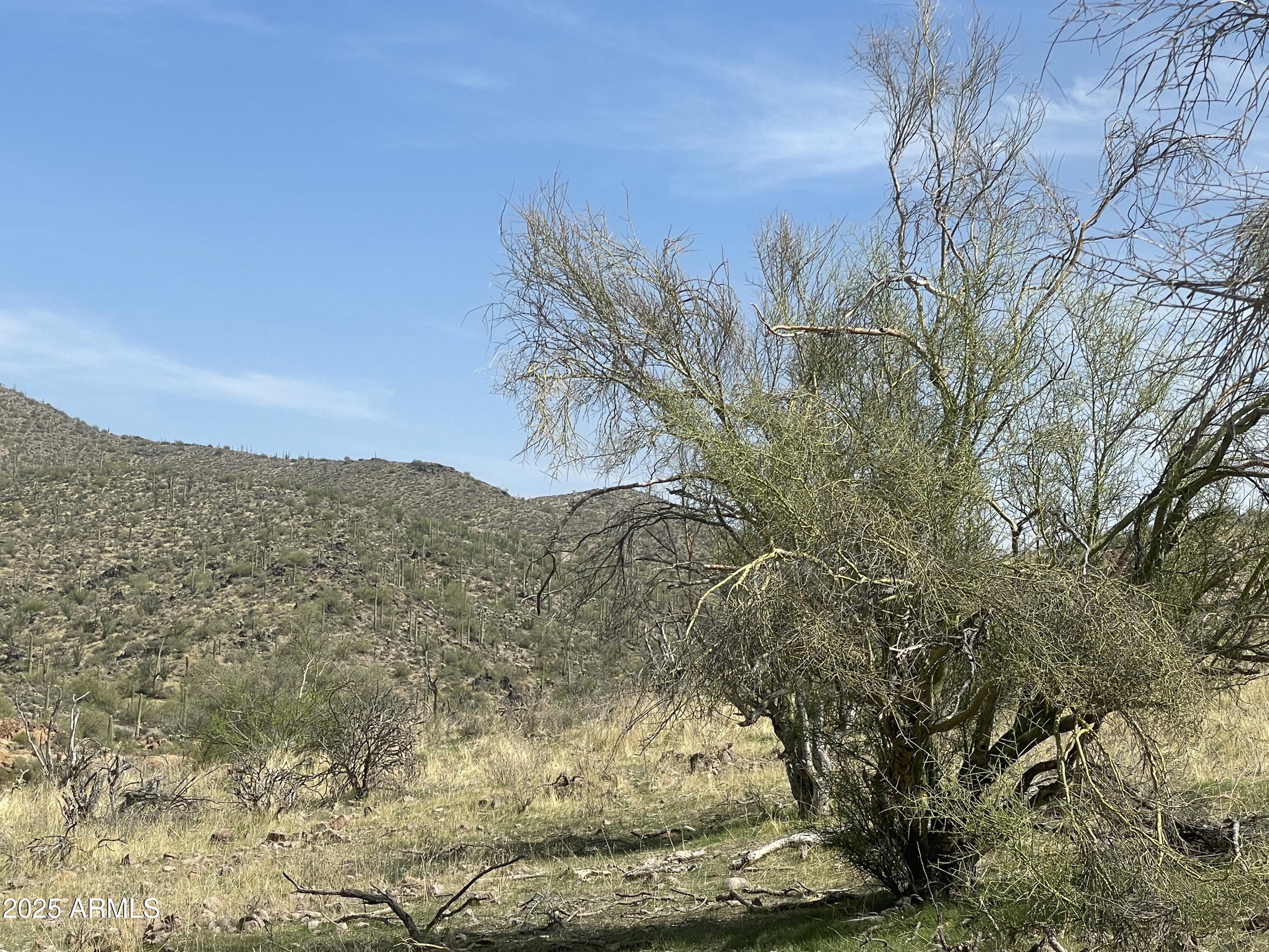 009 N Elephant Butte Road H