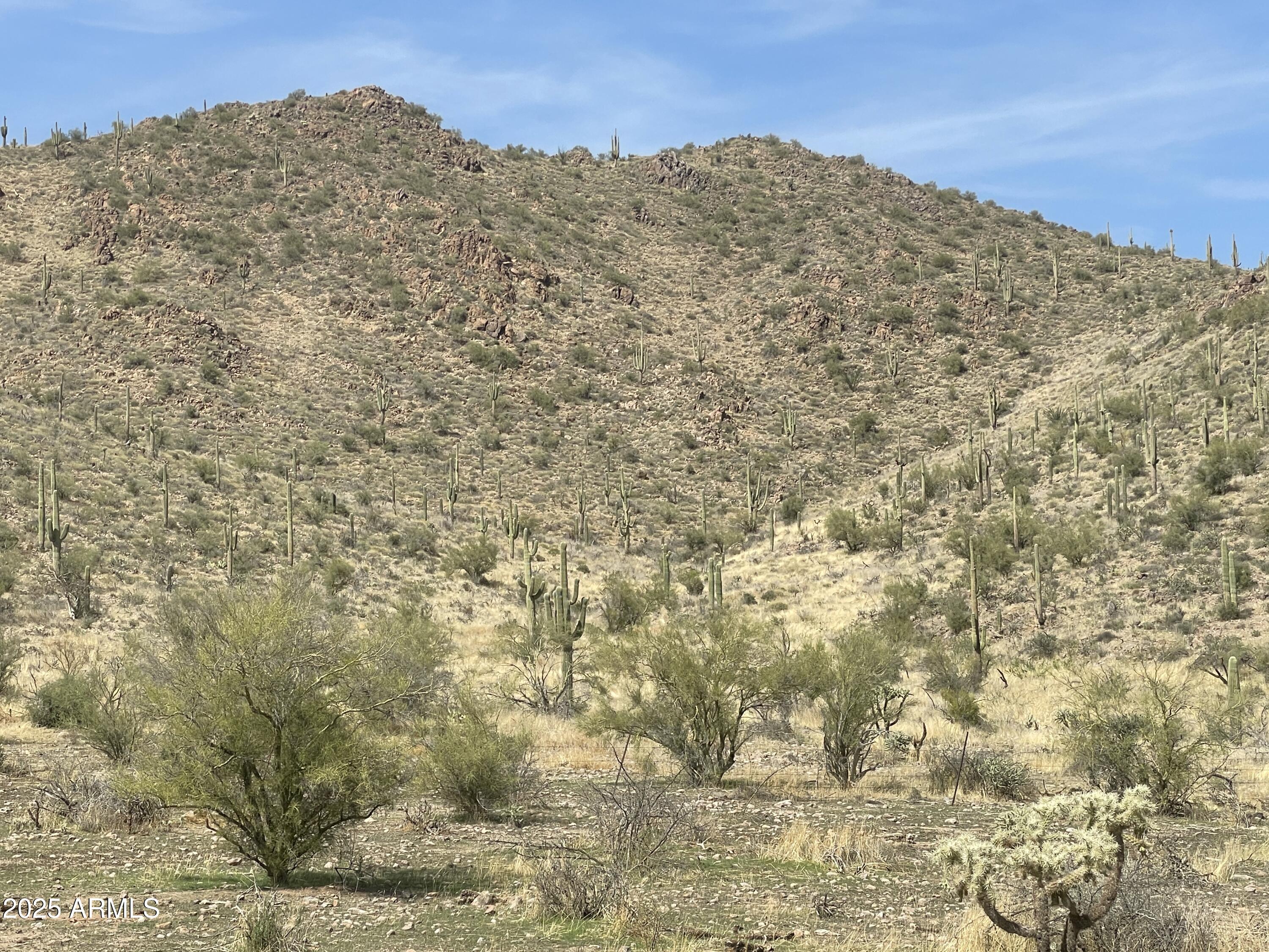 009 N Elephant Butte Road H