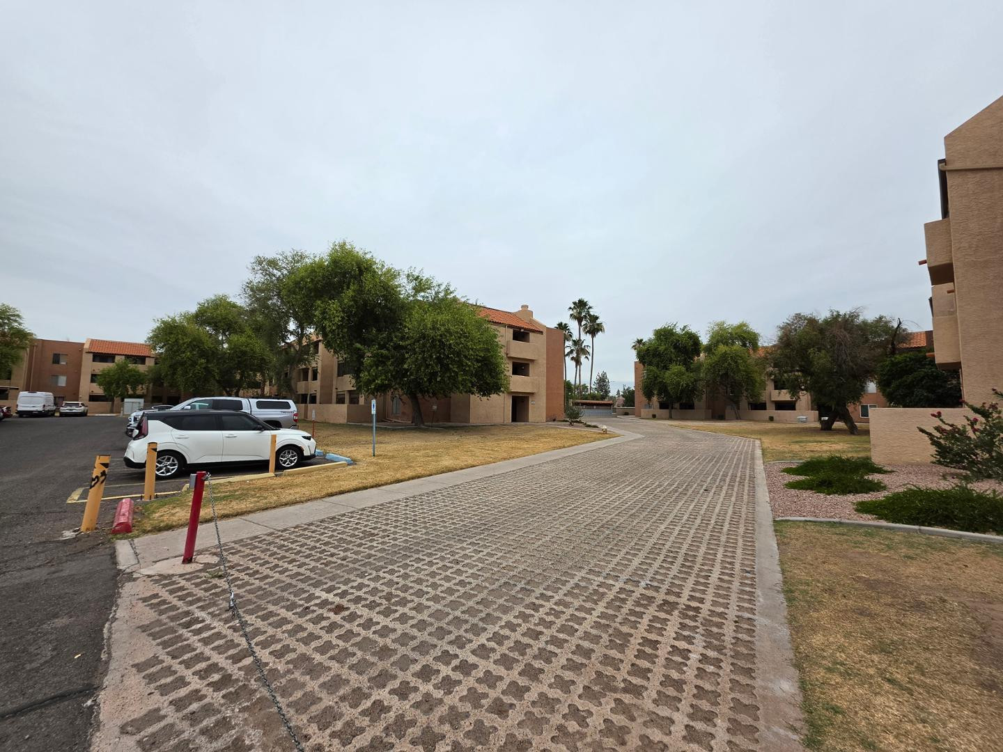 540 N May Apt 3119