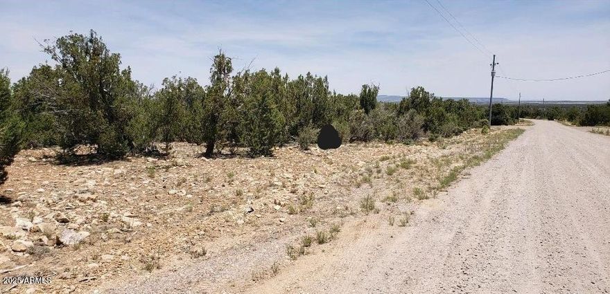 What could be better than waking up every morning to your brand new home nestled on 5 1/4 acres of beautiful Ponderosa  Pines!  Or build for a fabulous family get-a-way!  The further back on the lot you will find yourself more surrounded by Ponderosa Pines!  The water meter is installed and the shared well for thirteen 5 acre lots is located on the SE corner of the lot.  Electric is to the property line and phone is available.  A 32 ft culvert has been installed, as well as a 100 ft of the driveway is leveled and graveled.  Because of zoning and CC&Rs, only site built homes are allowed, no manufactured homes and NO camping. to help ensure that the area will stay looking beautiful!! Take a drive out to this  gorgeous lot and see what you have been missing!