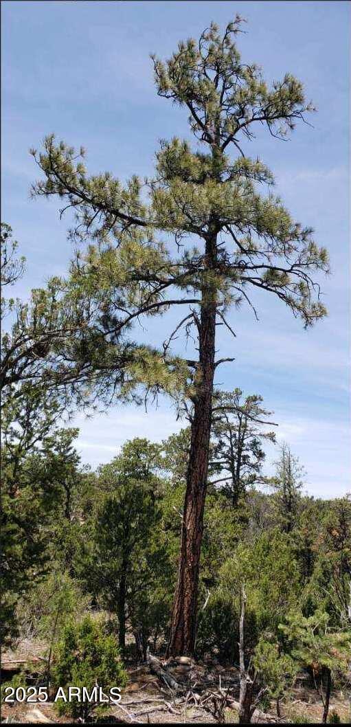 5113 SUNSET RIDGE Loop 187