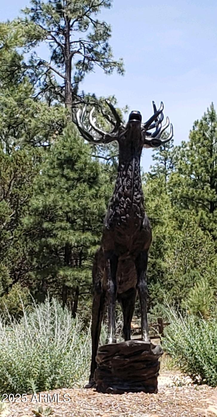 MOGOLLON RANCH 2 - Land