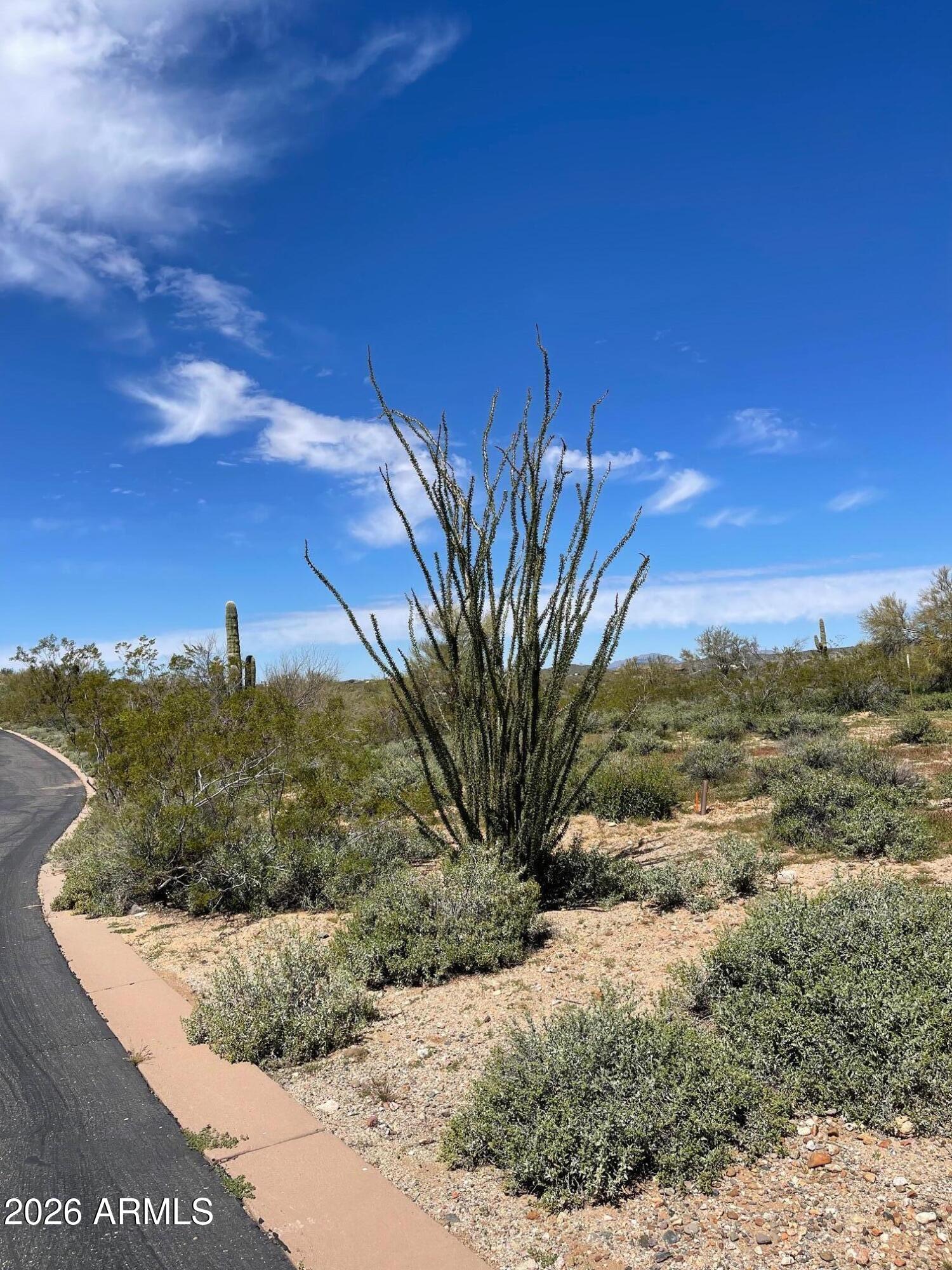 MONTE VISTA RANCH PHASE 1 - Land