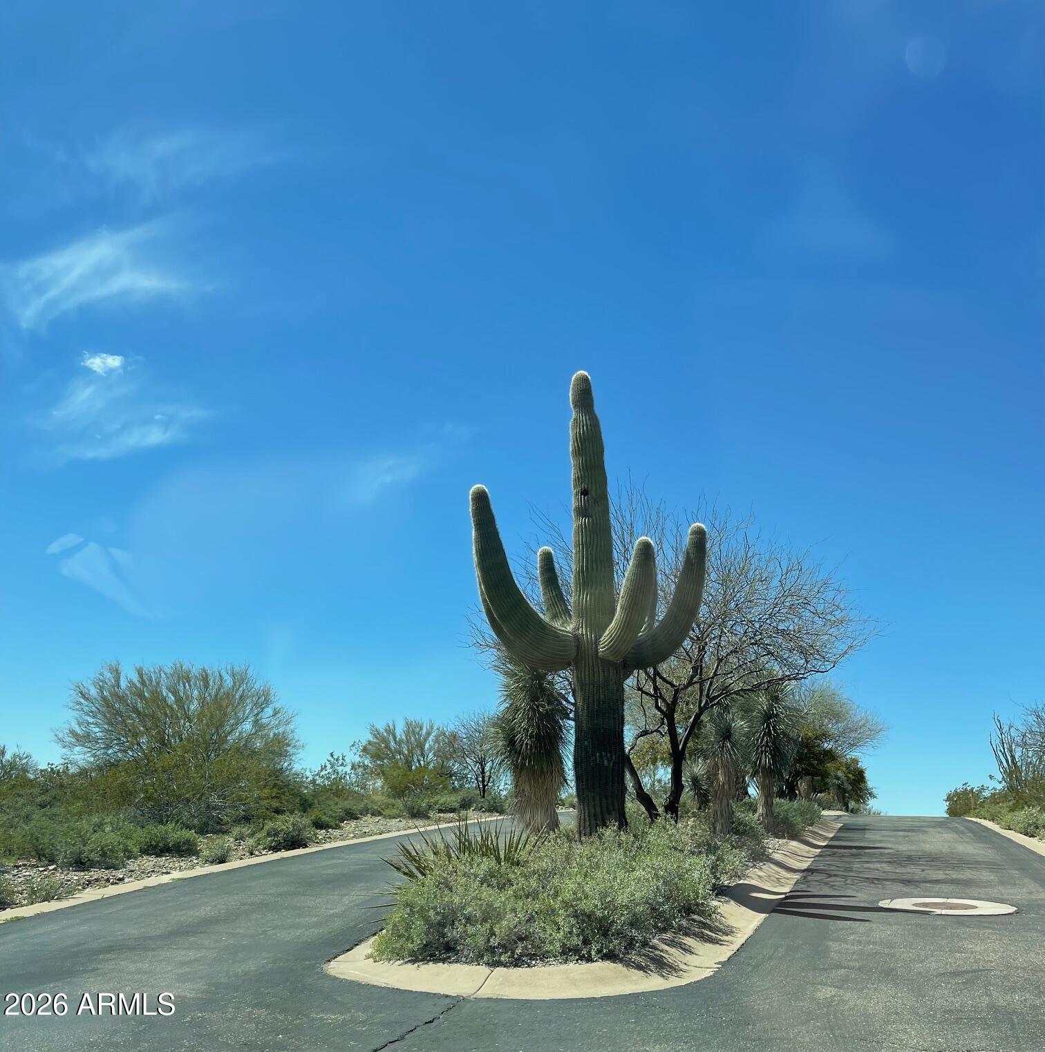 MONTE VISTA RANCH PHASE 1 - Land