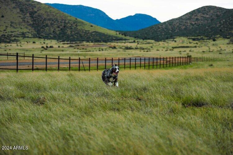 Homes for Sale in Queen Creek Arizona 3 10196 E Songbird Lot Way 18