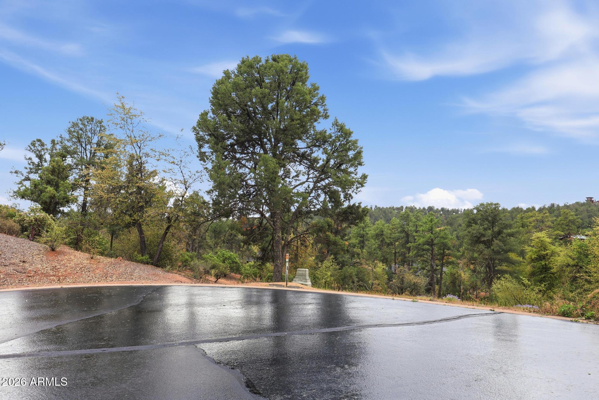 1701 E REDBUD Court 879