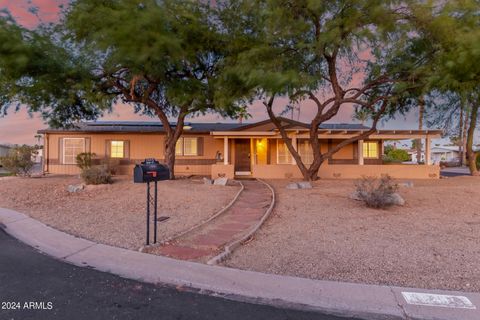 25415 S OHIO Court Sun Lakes AZ 85248