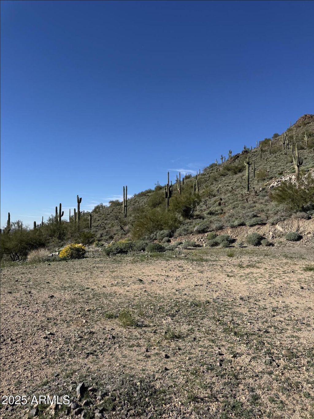 Photo of 37904 N 34th Avenue #-, Phoenix, AZ 85086 (MLS # 6960824)