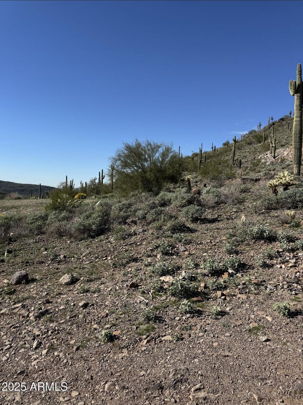 Photo of 37904 N 34th Avenue #-, Phoenix, AZ 85086 (MLS # 6960824)