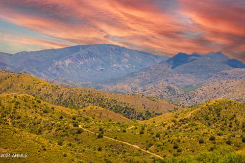 0 N Charleau Gap Road - Oracle AZ 85623