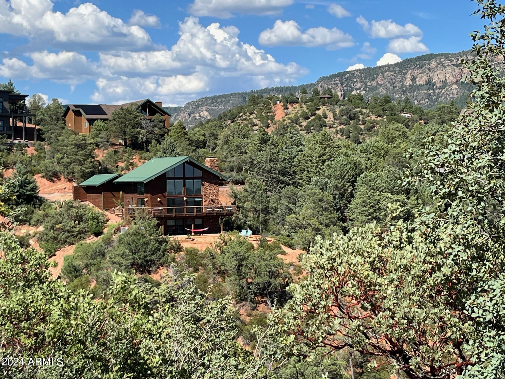 View Pine, AZ 85544 house