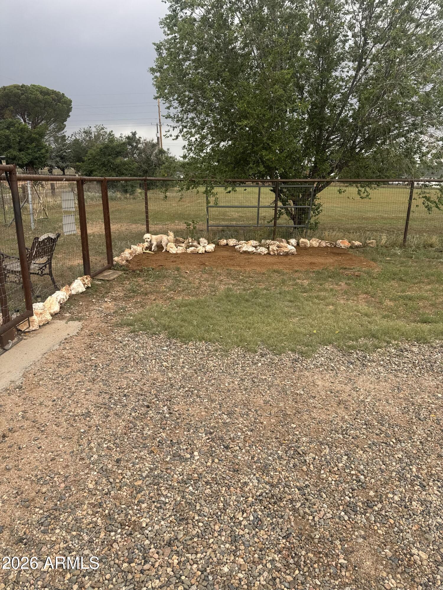 920 Carolita Court