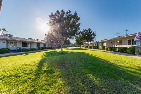 13822 N NEWCASTLE Drive Sun City AZ 85351