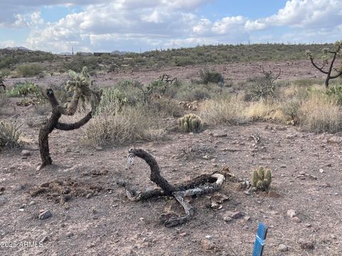 00 N Elephant Butte Road E Queen Valley AZ 85118