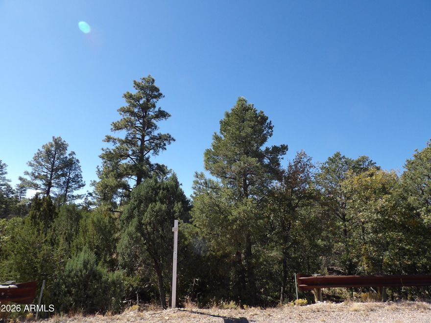 Don't miss this 5 acre Mogollon Ranch homesite. Featuring Quiet, Privacy& Seclusion, plus some great Distance Views on this expansive parcel. Site-built homes only. Water meter on lot. Water provided through system of Co-op wells owned by the HOA.  Sellers have had the lot resurveyed by a licensed surveyor with all corners marked. Great Views from some points on this property. You can even see San Francisco Peaks at Flagstaff on a clear day! All building plans must be approved by HOA Architectural Committee before submitting plans to Coconino County for permits. Land is heavily-treed w/some taller Ponderosa Pines and mature Pinon Cedar. Community surrounded by Ntl Forest. Horses welcomed! Main home and ADU are allowed. Perfect for a guest house. Mogollon Ranch surrounded by Ntl Forest.