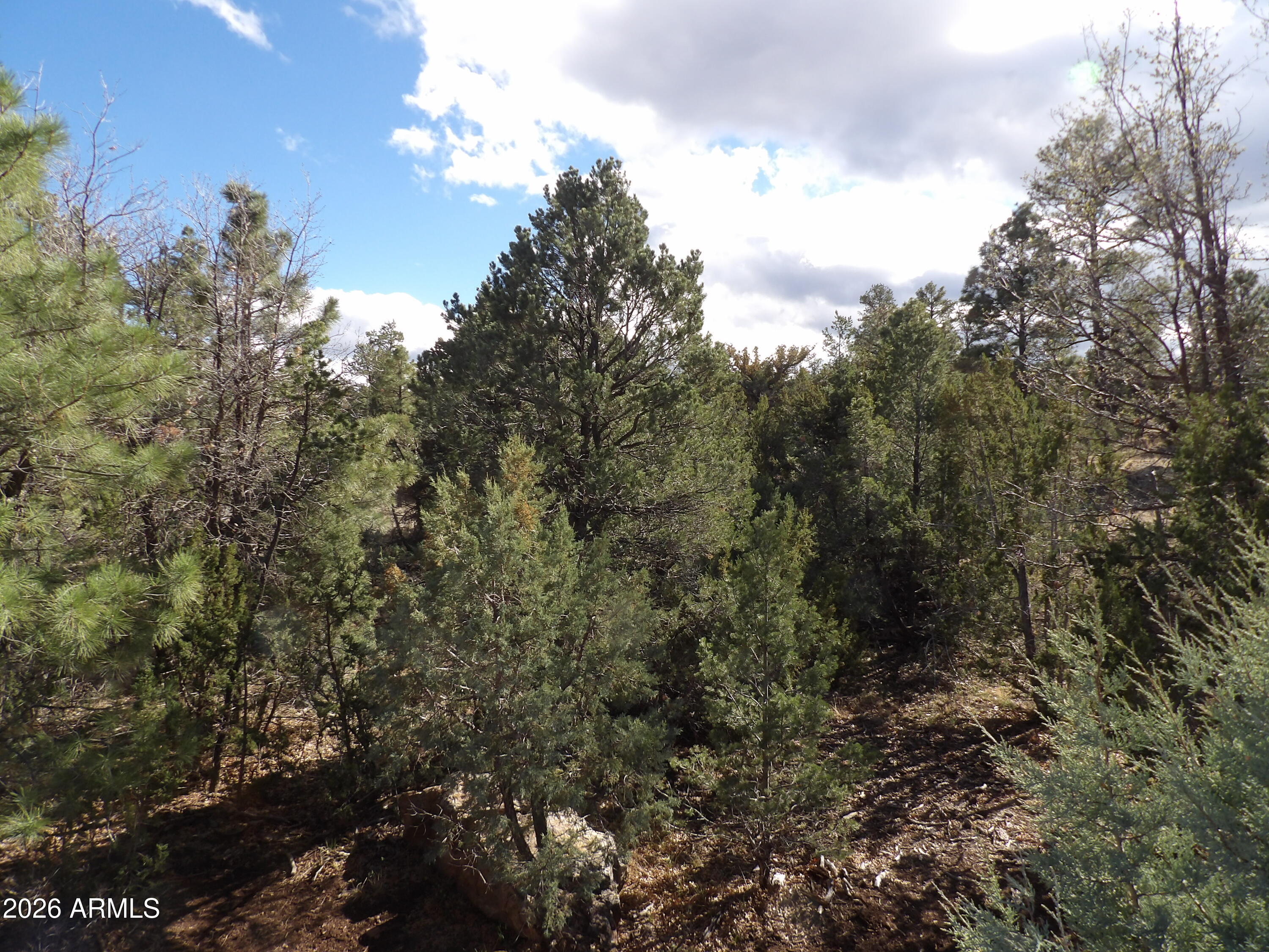 MOGOLLON RANCH 2 - Land
