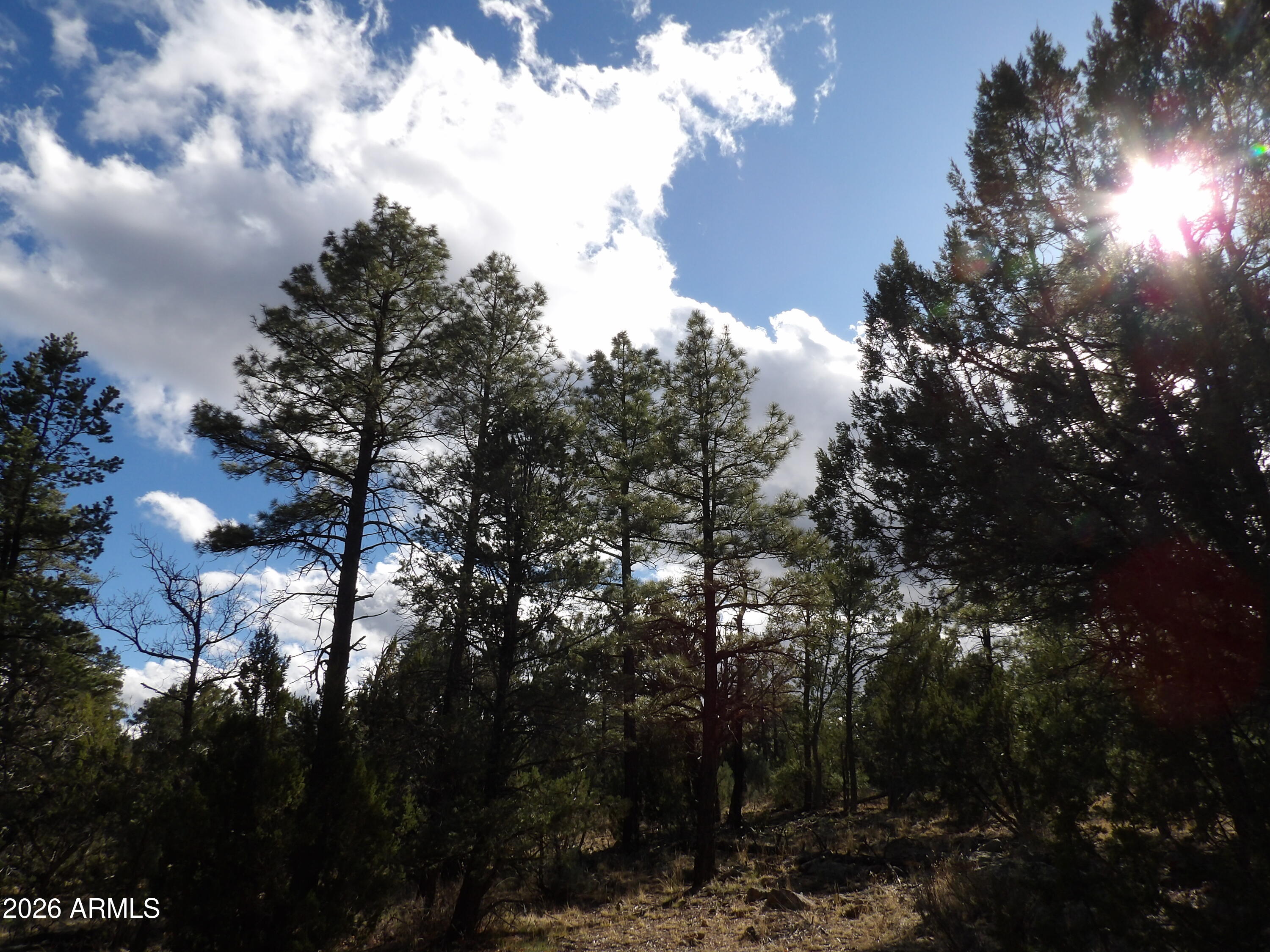 MOGOLLON RANCH 2 - Land