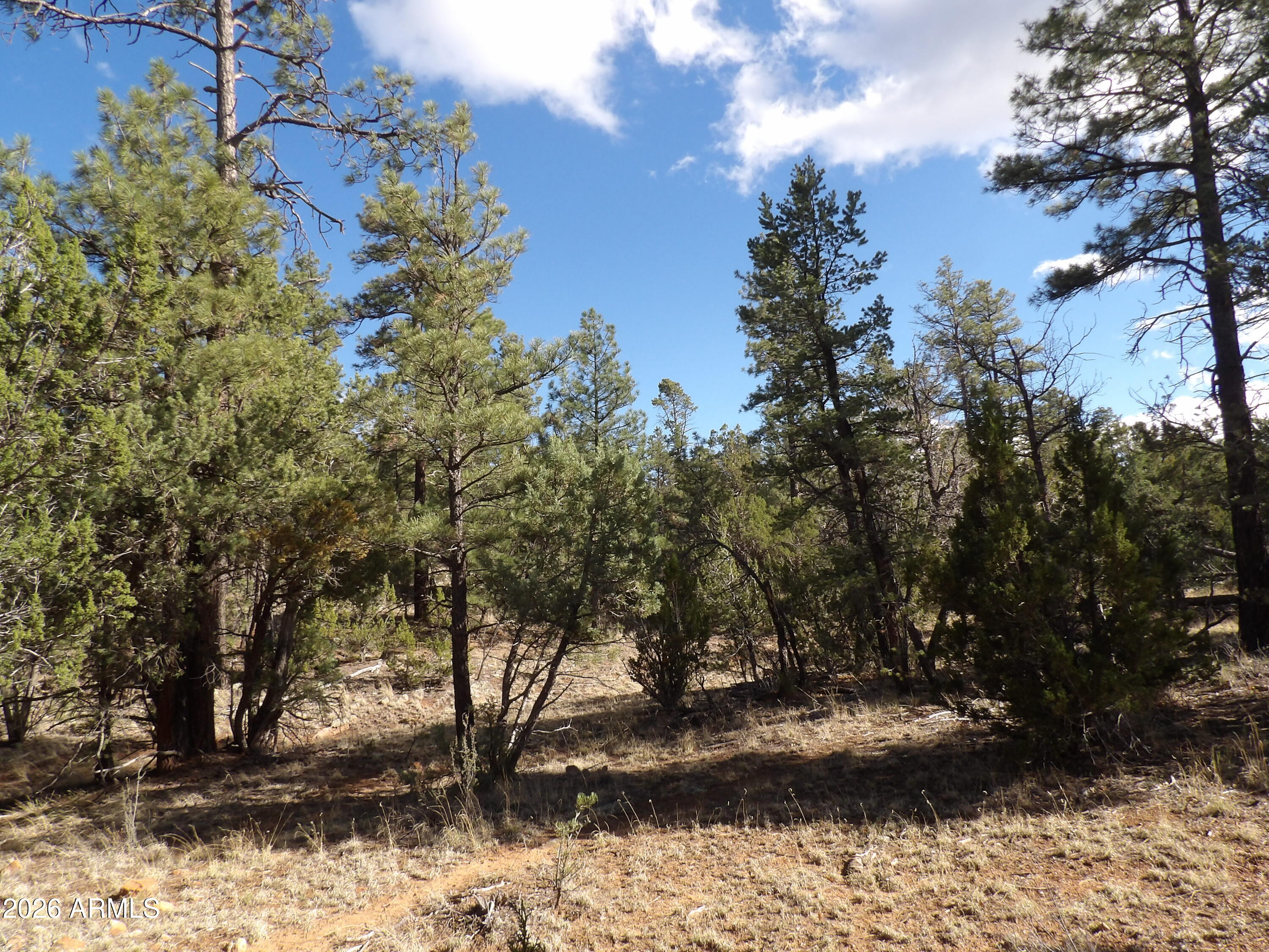 MOGOLLON RANCH 2 - Land