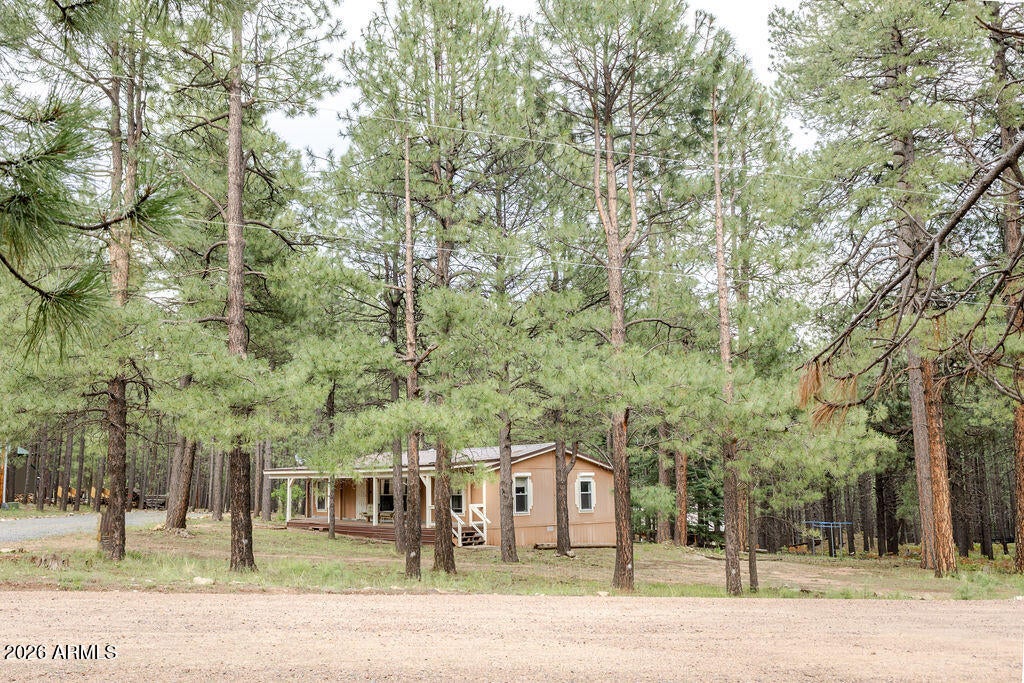 659 MULE SPRINGS Trail
