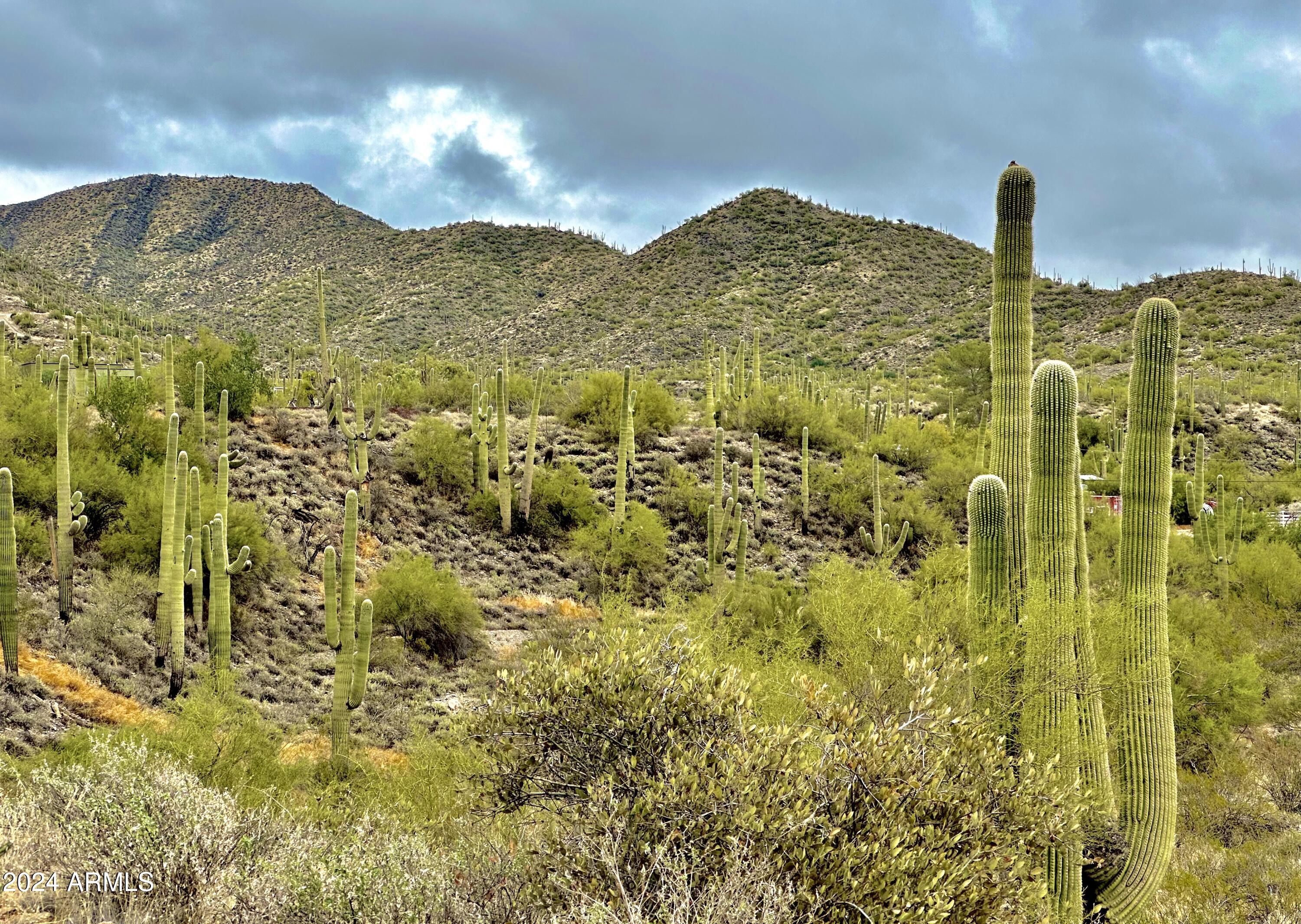 7XXX E HIGHLAND Road E -