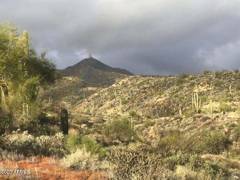 14012 E COYOTE Way 43 Fountain Hills AZ 85268