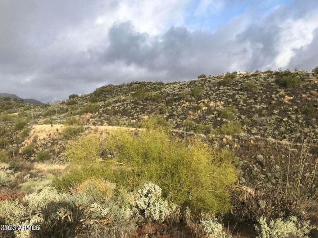 Photo of 14012 E Coyote Way #43, Fountain Hills, AZ 85268 (MLS # 6522721)
