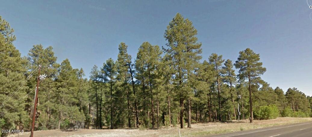 2351 S White Mountain Road -