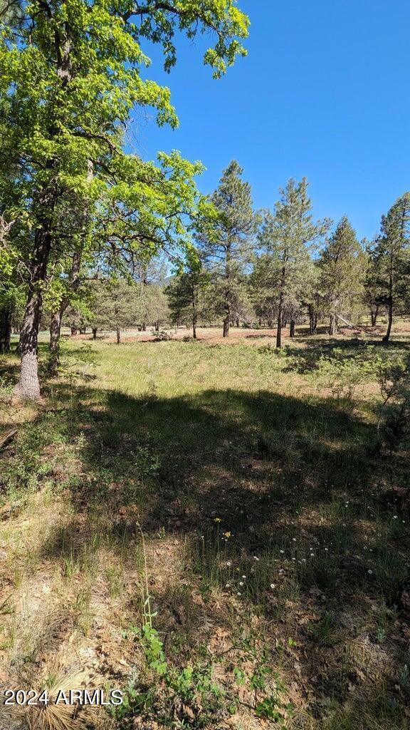 Gordon Canyon - Residential