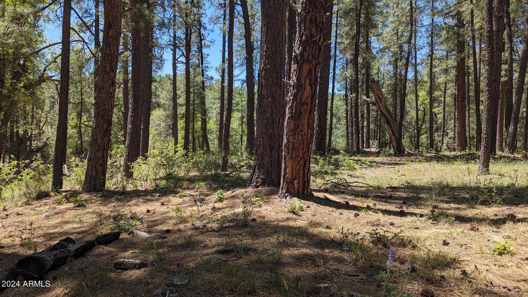 Gordon Canyon - Residential