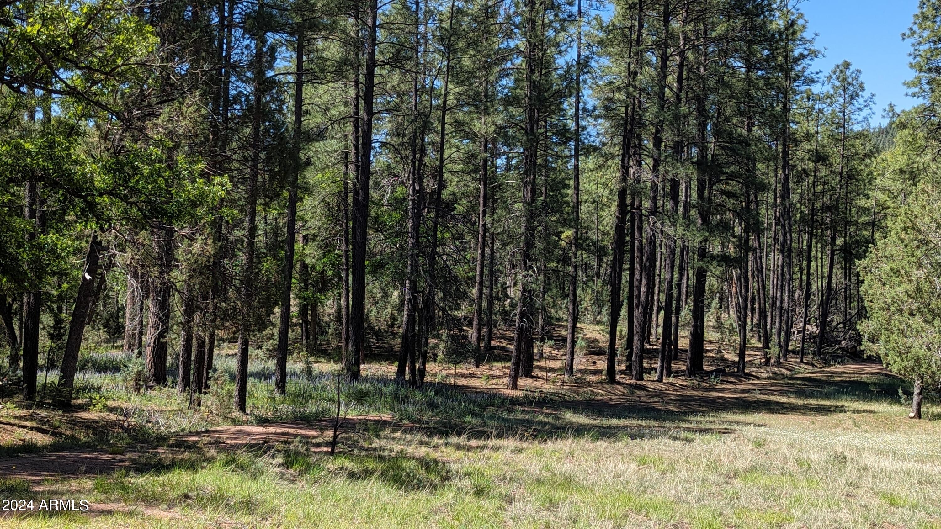 Gordon Canyon - Residential