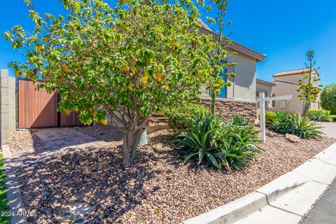 A home in Gilbert