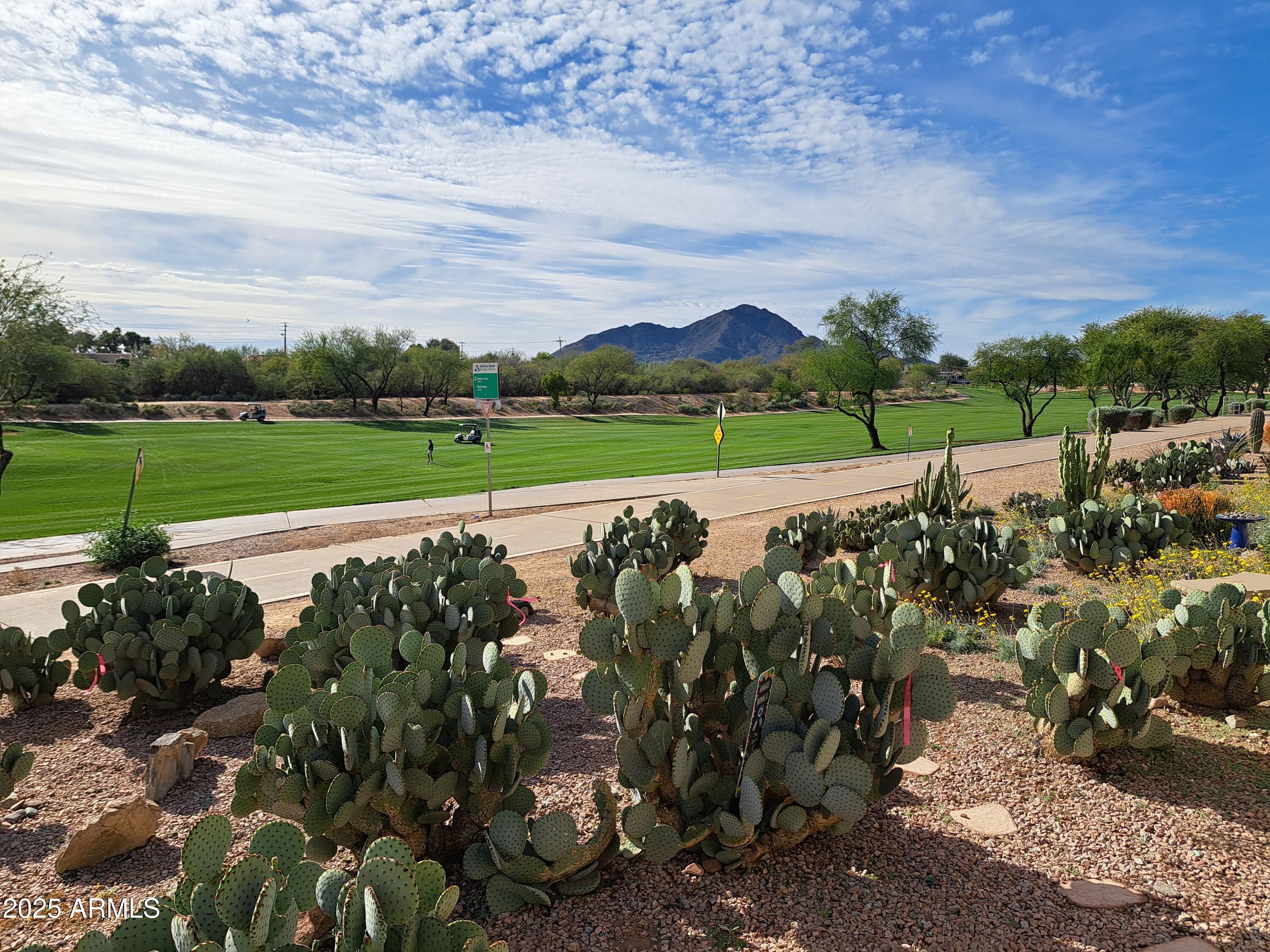 7949 E Joshua Tree Lane