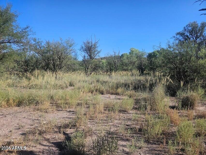 1388 E COTTONWOOD Lane -