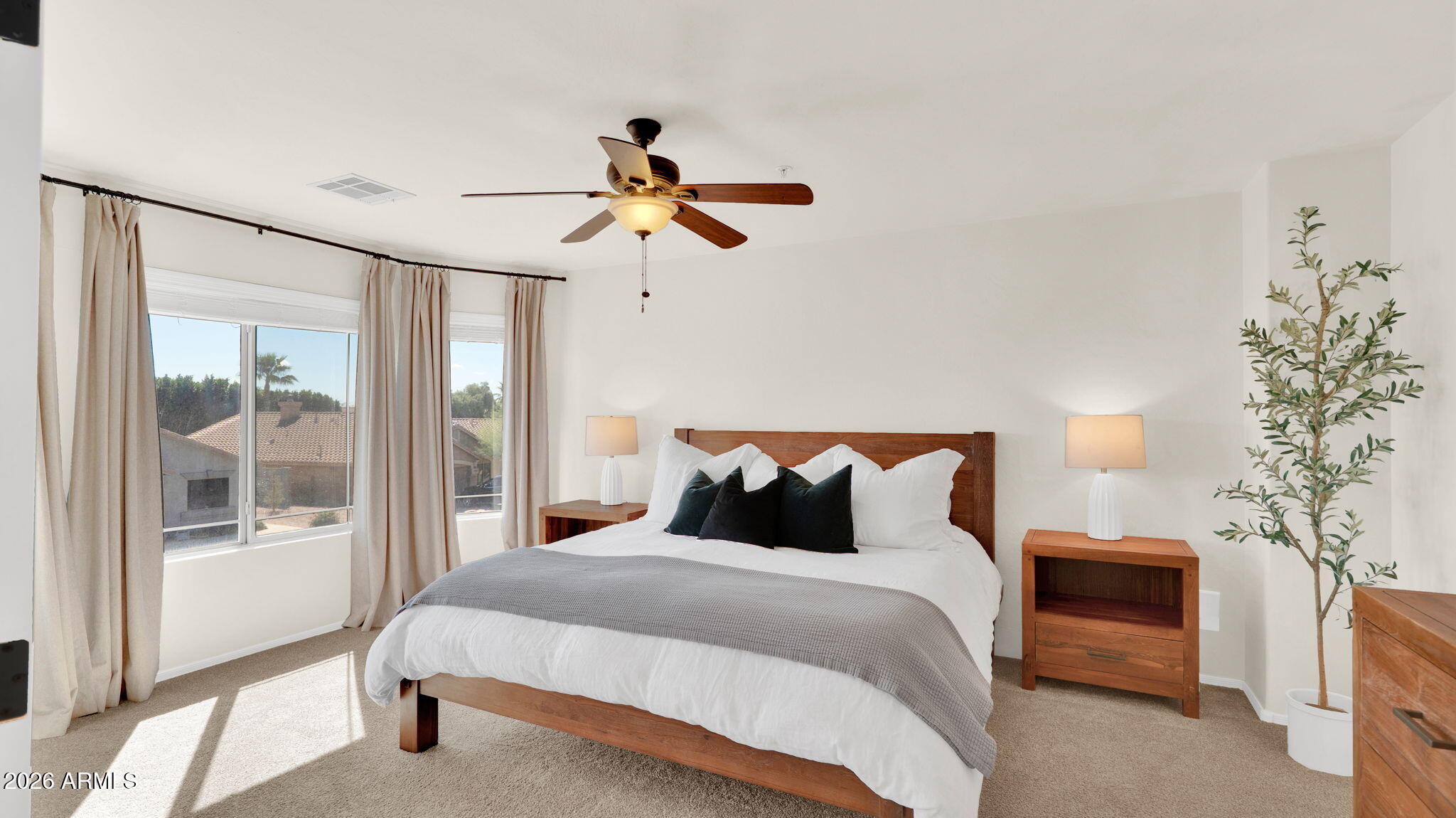 7528 E CHRISTMAS CHOLLA Drive