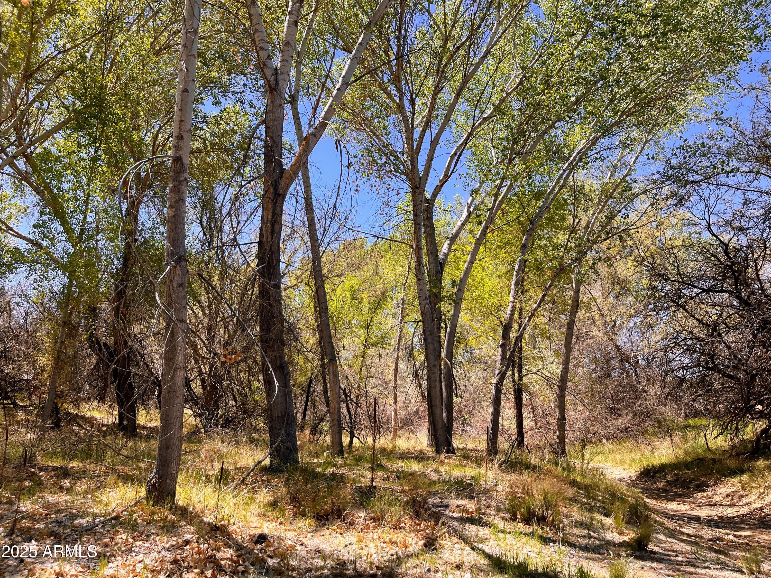 2900 Old Skull Valley Road -