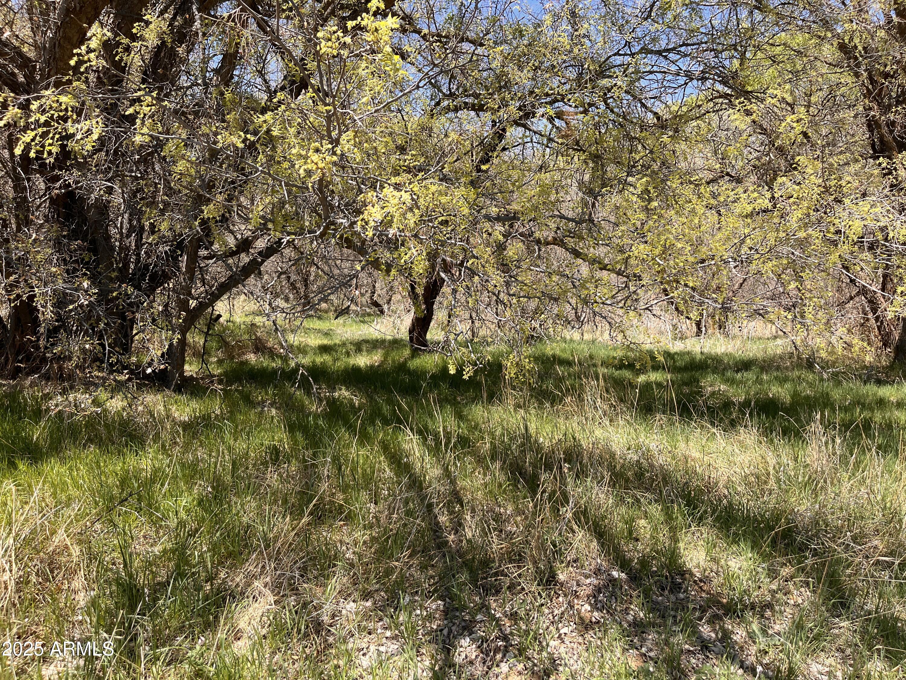 2900 Old Skull Valley Road -