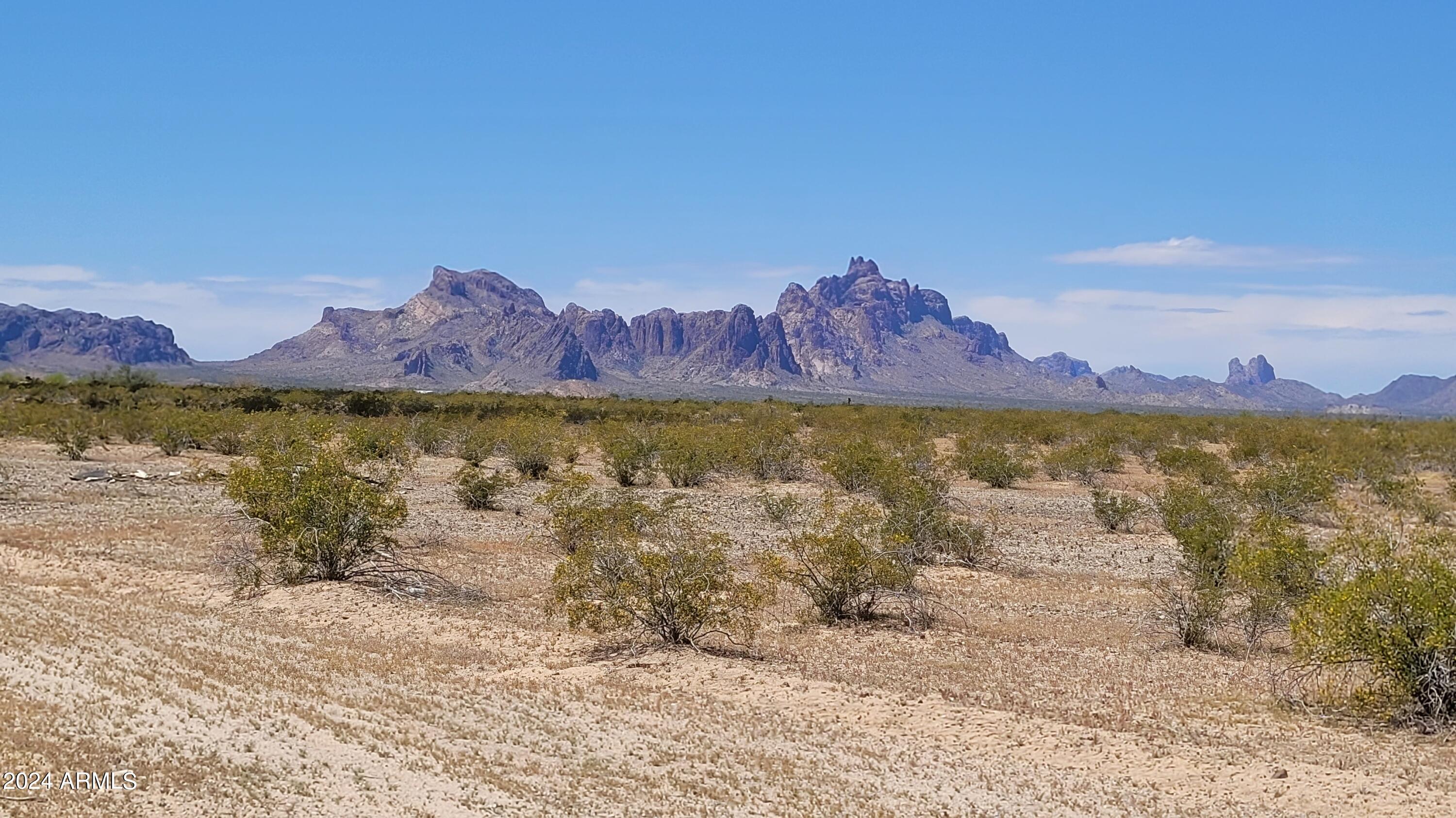 538XX W Elliot Road -